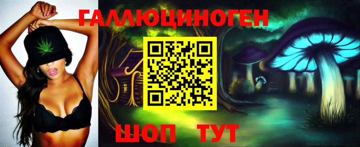 Галлюциногенные грибы Psilocybine cubensis Ухта